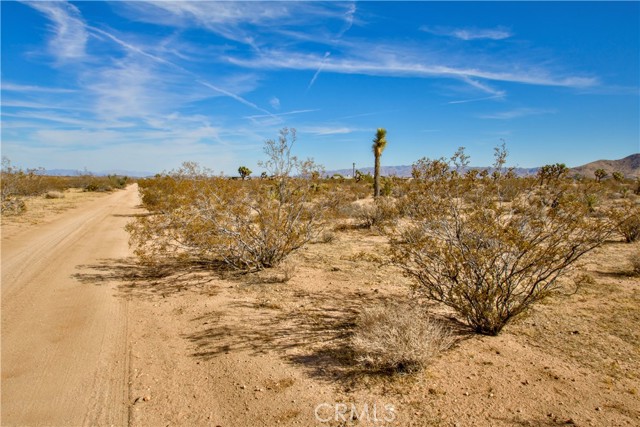 Detail Gallery Image 2 of 21 For 38 Lot 38 La Crescenta Dr, Yucca Valley,  CA 92284 - – Beds | – Baths