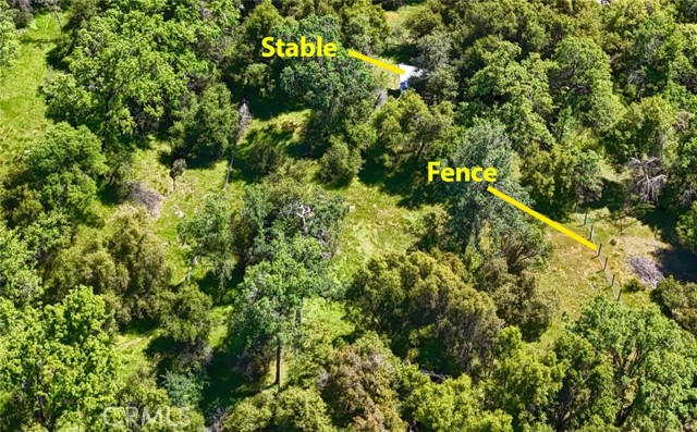 Detail Gallery Image 41 of 54 For 42275 Buckeye Rd, Oakhurst,  CA 93644 - 4 Beds | 2/1 Baths