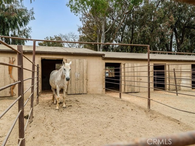 485 Oconnor Way, San Luis Obispo CA: https://media.crmls.org/medias/dc1aad5f-77d5-465c-9b80-0470068717e0.jpg