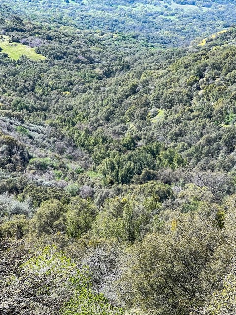 Detail Gallery Image 74 of 74 For 44981 Todd Eymann Rd, Miramonte,  CA 93641 - 1 Beds | 1 Baths