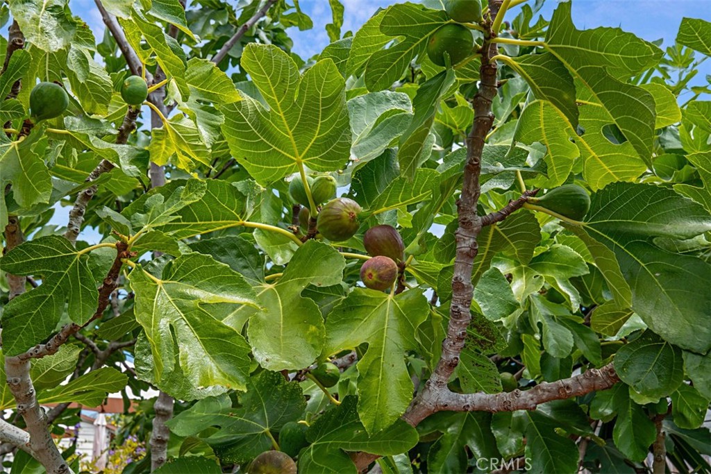 https://media.crmls.org/medias/dc27cc52-0571-4f1b-b6bb-baaafbdbe6b0.jpg?preset=X-Large