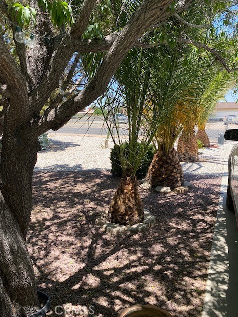 15805 Muscatel Street, Hesperia CA: https://media.crmls.org/medias/dc2eea61-cedd-46bd-9bc5-4fbc42476909.jpg