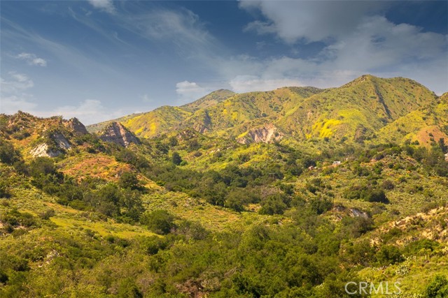 19041 Live Oak Canyon Road, Trabuco Canyon CA: https://media.crmls.org/medias/dc3d02e7-7375-4914-88ac-c76eb0bc2dea.jpg