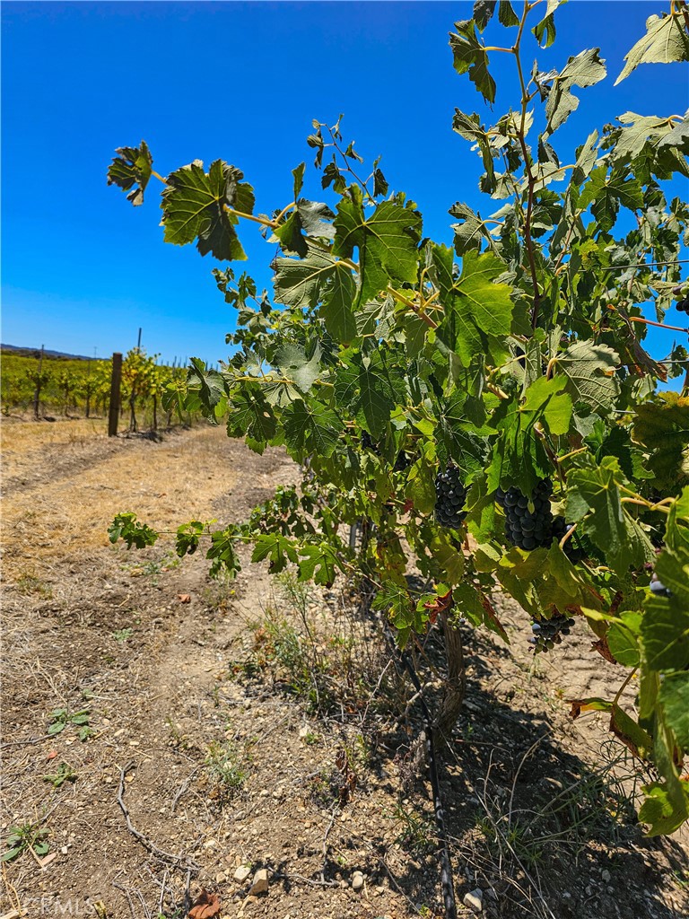 34 Paint Horse Place