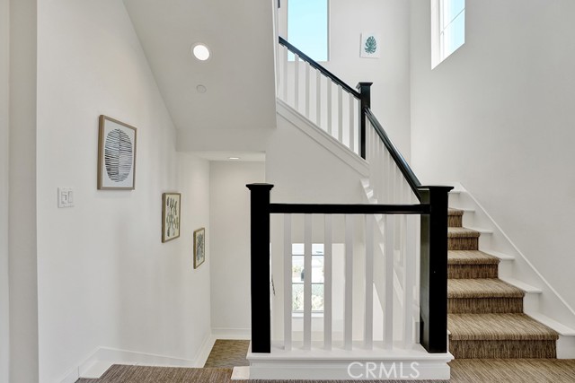 Dc453a09 214a 46e5 B1e5 A7b56823d6b9