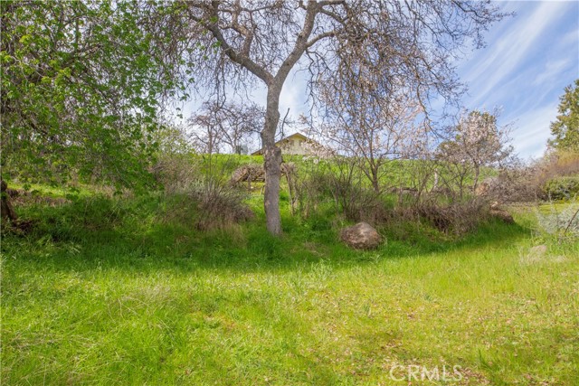 Detail Gallery Image 46 of 55 For 51859 Sesame, Squaw Valley,  CA 93675 - 2 Beds | 2 Baths