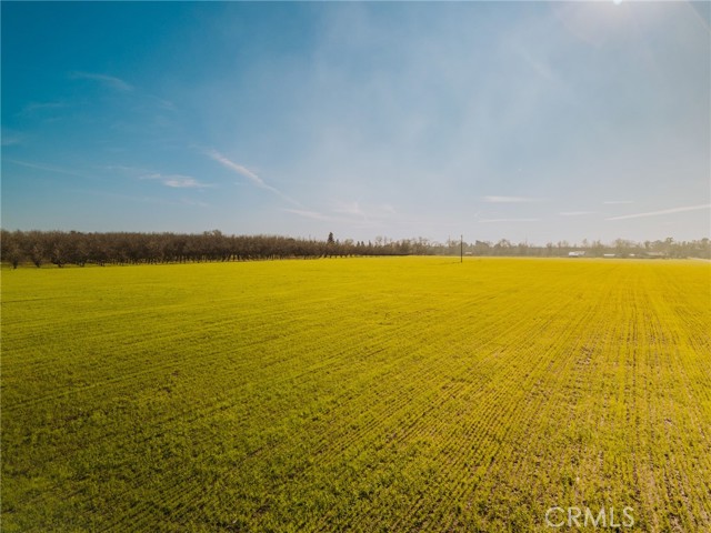 Detail Gallery Image 11 of 11 For 615 Reavis Avenue, Chico,  CA 95928 - – Beds | – Baths