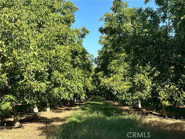 24365 Oklahoma Avenue, Red Bluff CA: https://media.crmls.org/medias/dc507ecd-81b0-462c-80d5-7fb9a24f4b24.jpg