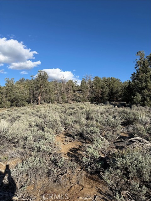 Detail Gallery Image 28 of 42 For 96484 Kennedy Meadows Rd, –,  CA 93527 - – Beds | – Baths