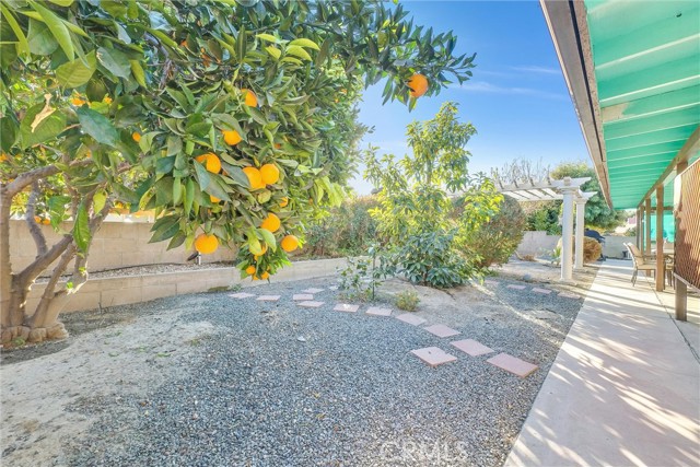 Detail Gallery Image 23 of 28 For 2085 Flame Tree Way, Hemet,  CA 92545 - 2 Beds | 2 Baths