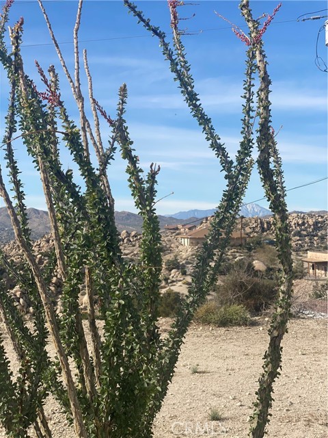 Detail Gallery Image 21 of 22 For 6161 Mirlo Rd, Yucca Valley,  CA 92284 - 2 Beds | 2 Baths