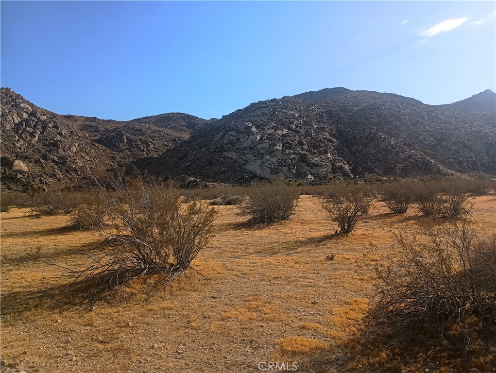 MLS #HD26153564 image #4