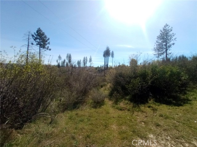 Detail Gallery Image 22 of 27 For 3515 Hoffman, Oroville,  CA 95965 - – Beds | – Baths