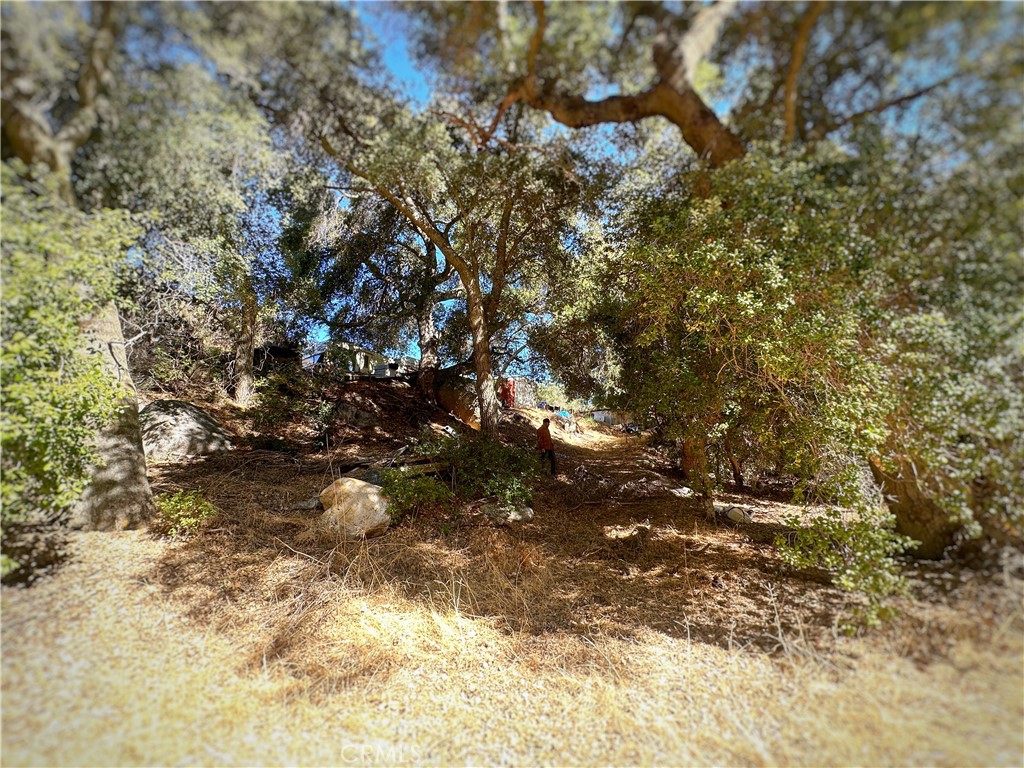 https://media.crmls.org/medias/dc5ad98f-b1e1-4f2d-a187-53f7da11f78c.jpg?preset=X-Large