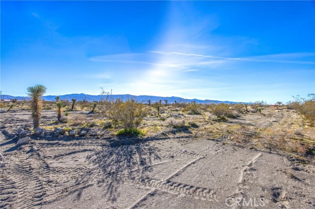 Detail Gallery Image 39 of 61 For 11788 Buckwheat, Pinon Hills,  CA 92371 - 4 Beds | 2 Baths