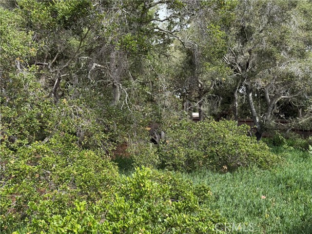 Detail Gallery Image 30 of 30 For 1595 Los Osos Valley Rd 12a,  Los Osos,  CA 93402 - 2 Beds | 2 Baths