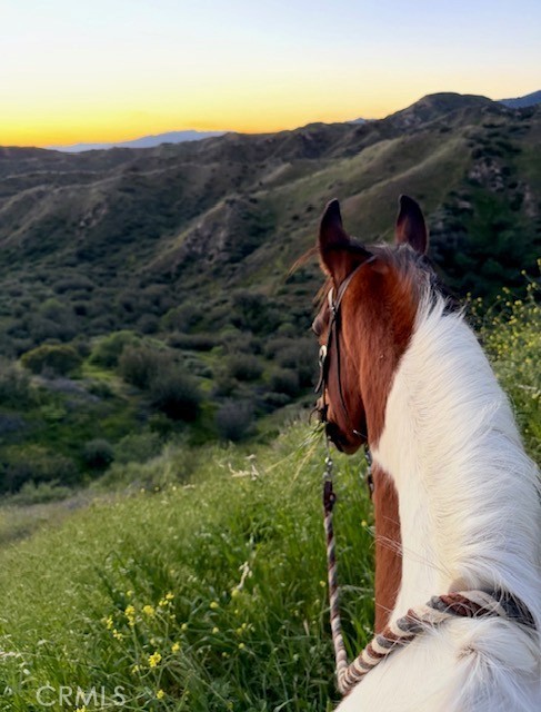Detail Gallery Image 40 of 41 For 11519 Orcas Ave, Sylmar,  CA 91342 - 3 Beds | 2 Baths