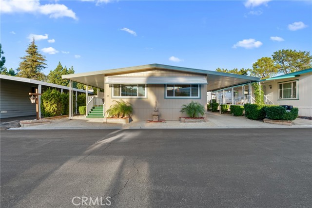 Front Image Thumbnail for CROC25266361