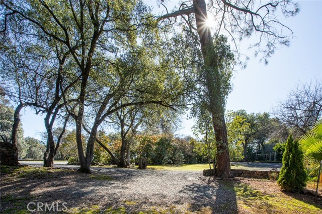 Detail Gallery Image 64 of 75 For 210 Riverview Dr, Oroville,  CA 95966 - 4 Beds | 3 Baths