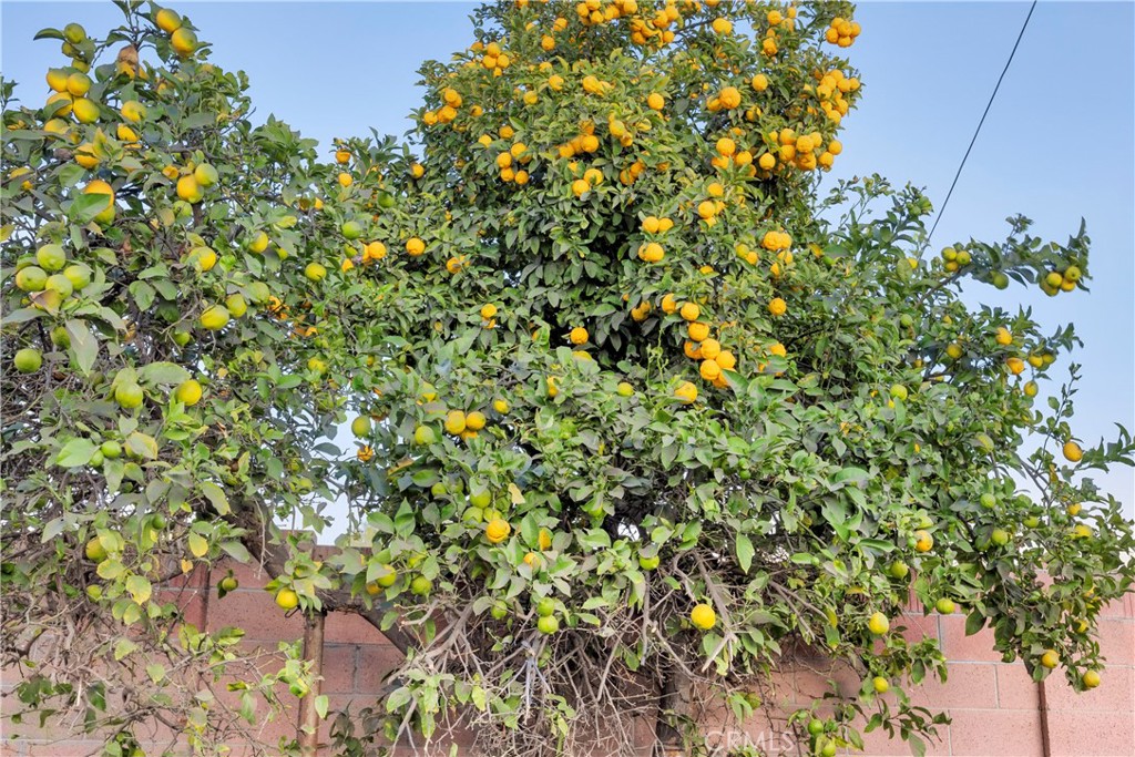 https://media.crmls.org/medias/dc7a8250-c931-4d7f-9981-fc8e3bcec677.jpg?preset=X-Large