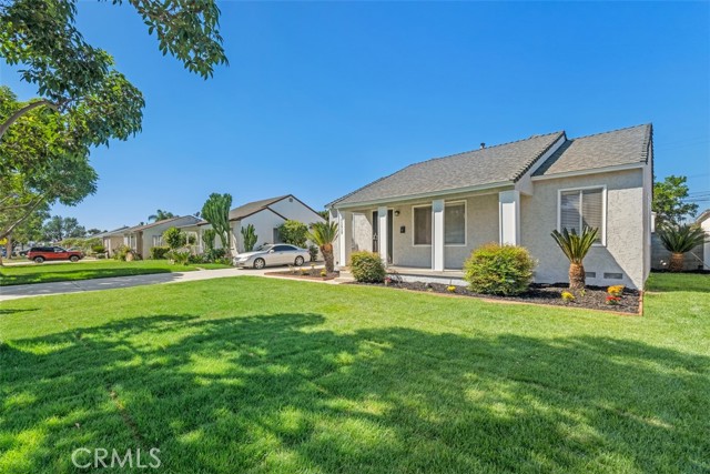 New Sod and Sprinkler System