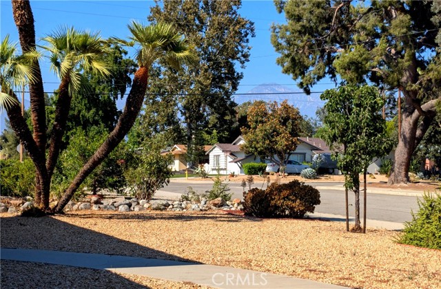 509 Cedar Crest Avenue, Claremont CA: https://media.crmls.org/medias/dc7e46fb-4054-4bc7-8f17-85db9dc06b1f.jpg