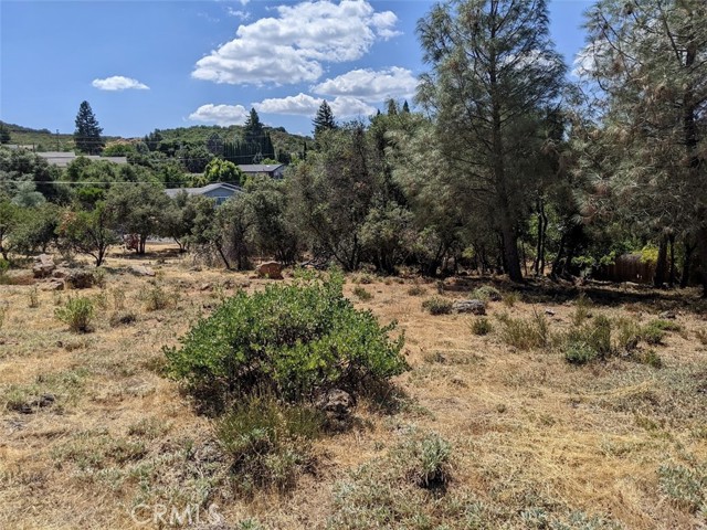 9709 Tenaya Way, Kelseyville, California 95451, ,Land,For Sale,9709 Tenaya Way,CRLC23161667