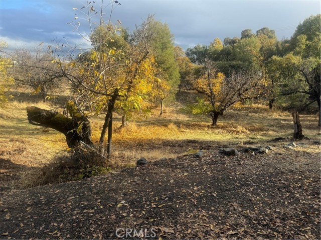 Detail Gallery Image 23 of 25 For 1706 Martin St, Lakeport,  CA 95453 - 4 Beds | 2 Baths