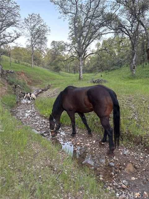 Detail Gallery Image 68 of 74 For 18020 Benson Rd, Cottonwood,  CA 96022 - 3 Beds | 3 Baths