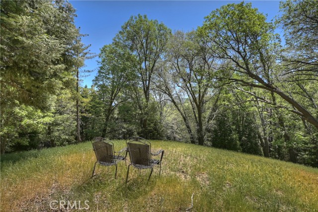 29223 Pigeon Hawk Lane, Lake Arrowhead CA: https://media.crmls.org/medias/dc9435ec-7341-46fd-87f7-7f63bbd74c94.jpg