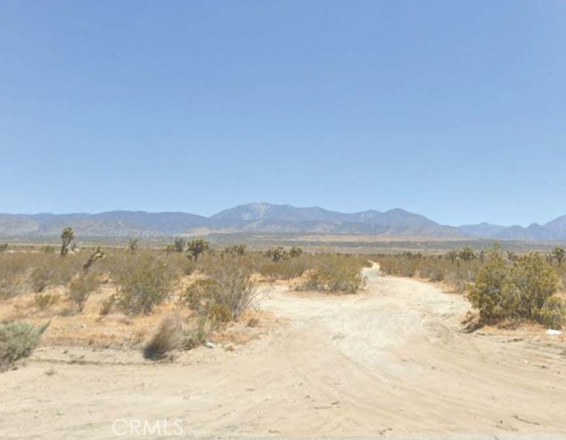 10 182nd Street, Lancaster CA: https://media.crmls.org/medias/dc952af8-00d1-4e91-811d-fbda779fdc43.jpg