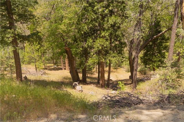 Detail Gallery Image 31 of 37 For 0 Hwy 173, Lake Arrowhead,  CA 92352 - – Beds | – Baths