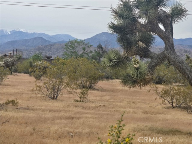 Detail Gallery Image 6 of 6 For 7414 Alaba, Yucca Valley,  CA 92284 - – Beds | – Baths