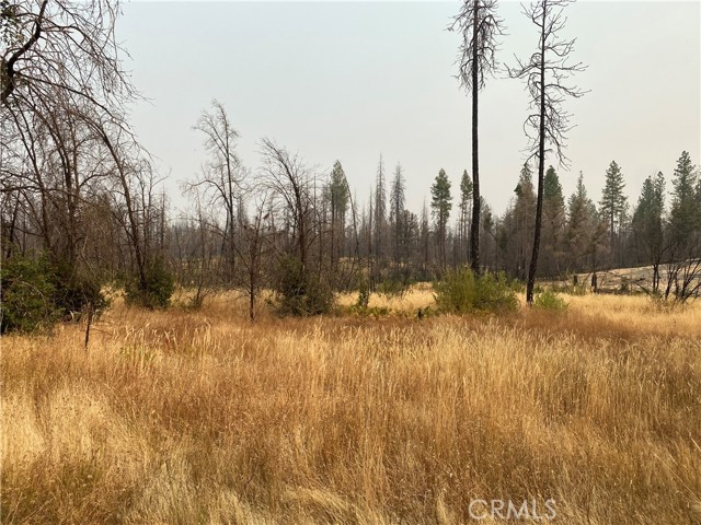 0 Simpson Ranch, Berry Creek, California 95916, ,Land,For Sale,0 Simpson Ranch,CROR22199102