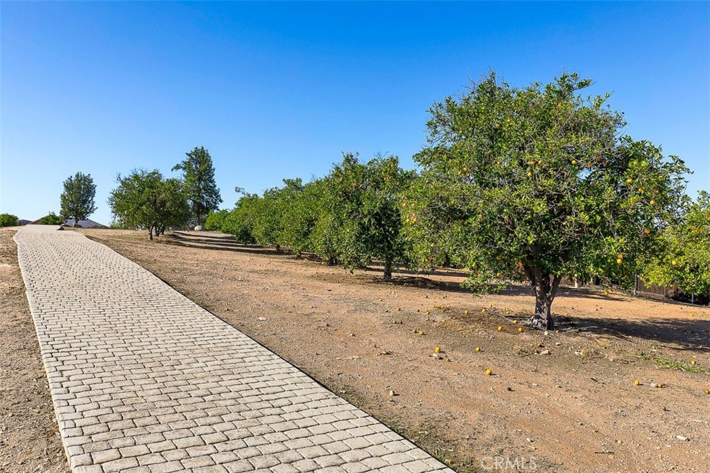 https://media.crmls.org/medias/dcb50924-1ff7-4217-8f60-21e807dd7ded.jpg?preset=X-Large