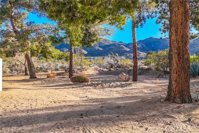 Detail Gallery Image 2 of 55 For 8173 Fleur Dr, Joshua Tree,  CA 92252 - 2 Beds | 3 Baths