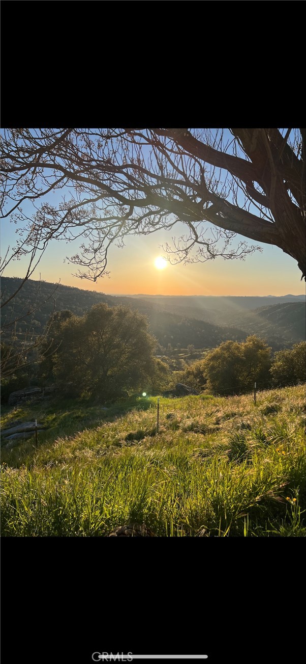 37876 Road 600, Raymond CA: https://media.crmls.org/medias/dcc2b7a6-cd04-4ce8-a25e-0334e083764f.jpg