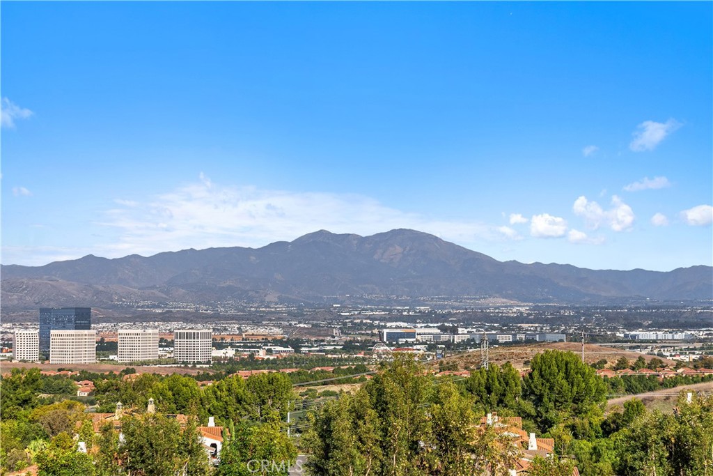 MLS #OC25253669 image #22