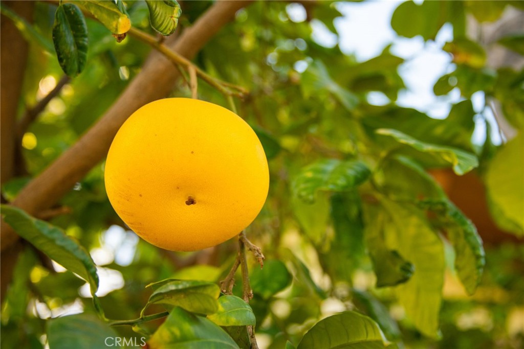 https://media.crmls.org/medias/dccad6e9-99e2-4c74-9b59-216b8f8f24a2.jpg?preset=X-Large