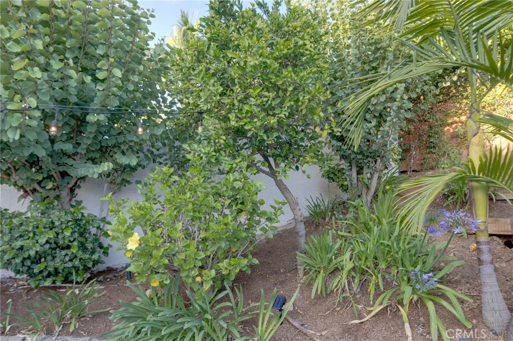 https://media.crmls.org/medias/dcce313c-7919-4291-885d-1c6e3d240764.jpg?preset=X-Large