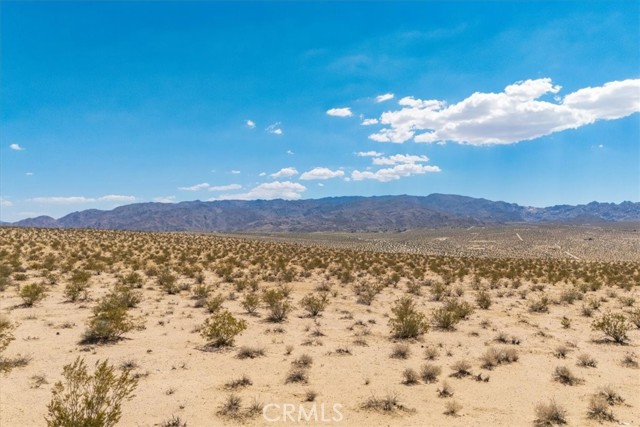 MLS #JT25263725 image #5