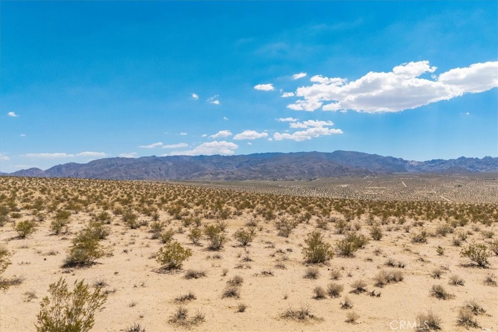 MLS #JT25263725 image #5