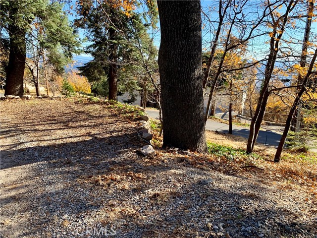 Detail Gallery Image 10 of 21 For 40 Park, Running Springs,  CA 92382 - – Beds | – Baths