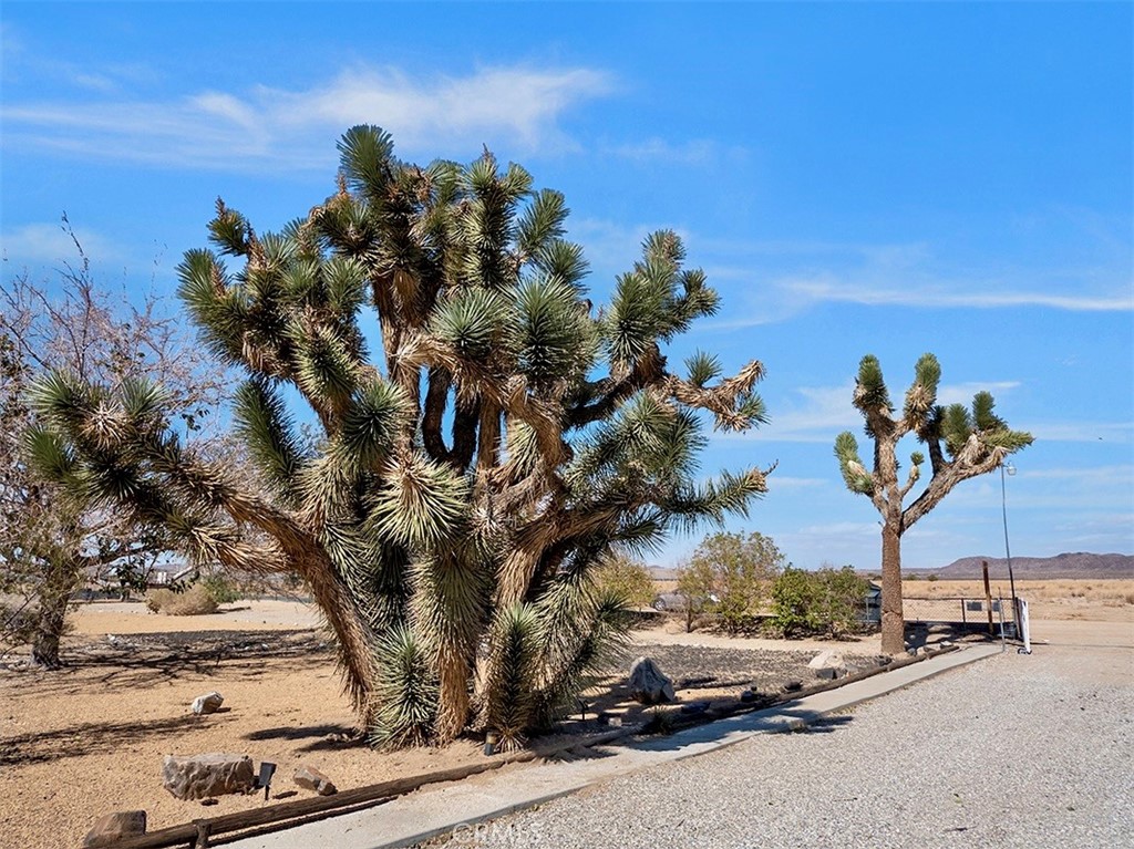 MLS #OC25244516 image #42