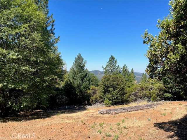 9003 Fox, Cobb, CA, 95426 9003 Fox, Cobb, CA, 95426