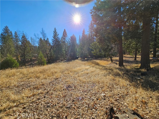 Detail Gallery Image 24 of 26 For 6901 Double Eagle Rd, Mariposa,  CA 95338 - 3 Beds | 2 Baths