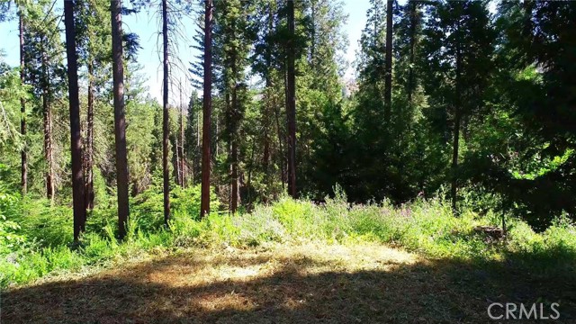 Detail Gallery Image 45 of 47 For 3502 Comet Mine, Mariposa,  CA 95338 - 3 Beds | 2 Baths