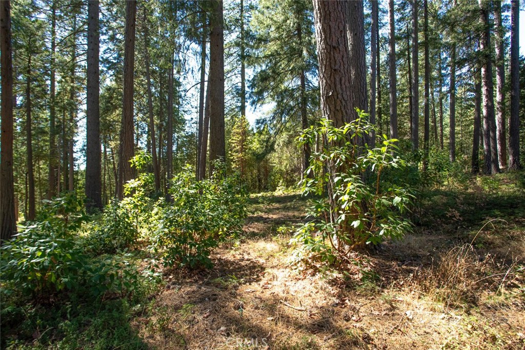 https://media.crmls.org/medias/dceda304-ed31-465b-b932-aa3f83cc693b.jpg?preset=X-Large