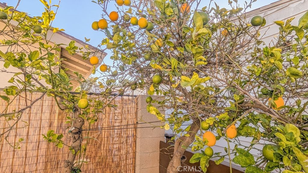 MLS #PW25270393 image #20