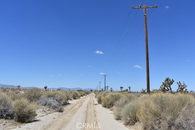 Front Image Thumbnail for CRSR25269561